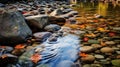 Tranquil Autumn Scenes: Flowing Leaves And Serene Creek In Western Washington Royalty Free Stock Photo