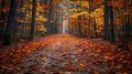 Tranquil autumn trail vibrant foliage, sunlit path in high definition forest scene