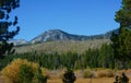 Autumn Vista On El Dorado National Forest Royalty Free Stock Photo