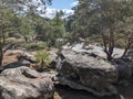 Tranquil Autumn Wilderness: Beauty in Nature with Boulders and Rock Climbing in Fontainebleau Forest, France Royalty Free Stock Photo