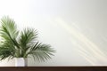 Tranquil backdrop a palm leaf banner on a minimalistic canvas exudes serene beauty