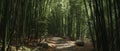The tranquil bamboo pathway inviting exploration through lush greenery AI generated image Royalty Free Stock Photo