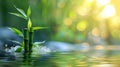 Tranquil Bamboo by the Water Background, Nature Wallpaper, Spa Backdrop, Green Plants, Natural Beauty Photo Royalty Free Stock Photo