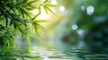 Tranquil Bamboo by the Water Background, Nature Wallpaper, Spa Backdrop, Green Plants, Natural Beauty Photo Royalty Free Stock Photo