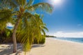 Tranquil beach scene. Exotic tropical beach landscape for background or wallpaper. Design of summer vacation holiday concept. Royalty Free Stock Photo