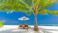 Tranquil beach scene. Exotic tropical beach landscape for background or wallpaper. Design of summer vacation holiday concept. Royalty Free Stock Photo