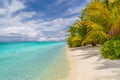 Tranquil beach scene. Exotic tropical beach landscape for background or wallpaper. Design of summer vacation holiday concept. Royalty Free Stock Photo