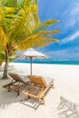 Beautiful tropical beach banner. White sand and coco palms travel tourism. Amazing beach landscape Royalty Free Stock Photo