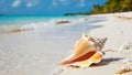Seashell on a Tropical Beach A Serene Coastal Scene with Turquoise Water and White Sand Royalty Free Stock Photo