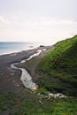 Tranquil beach scene featuring cows walking along a river on the black sand beach, Umnak, Alaska