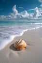 A tranquil beach scene with just a single, perfectly placed seashell in the sand Royalty Free Stock Photo