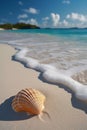A tranquil beach scene with just a single, perfectly placed seashell in the sand Royalty Free Stock Photo