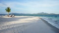 Tranquil beach scene with a palm tree Royalty Free Stock Photo