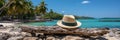 Tranquil beach scene with sandy shore, stylish straw hat, and lush palm tree branch Royalty Free Stock Photo