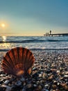 Tranquil Beach Scene with a Scallop Shell and Sunset over the Sea Royalty Free Stock Photo