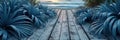 Tranquil beach sunrise with blue agave plants and wooden pathway Royalty Free Stock Photo