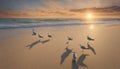 A tranquil beach at sunset, with gentle waves lapping the shore and seagulls in the