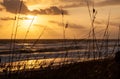 Tranquil Beach Sunset or Sunrise Royalty Free Stock Photo