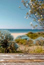Tranquil Beach View from Wooden Balcony with Blooming Flowers and Clear Blue Sky Royalty Free Stock Photo
