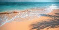 Tranquil Beachscape with Palm Tree Royalty Free Stock Photo
