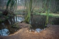 Tranquil and beautiful pond with still water Royalty Free Stock Photo