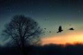 Tranquil beauty trees and birds captured in striking silhouette photography