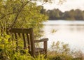 Tranquil Bench by a Countryside Lake Royalty Free Stock Photo