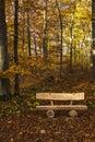 tranquil bench in a quiet autumn forest Royalty Free Stock Photo