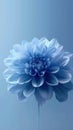 Tranquil Blue Blossoms on a Plain Background. Delicate floral pattern in cool hues Royalty Free Stock Photo