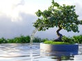 tranquil bonsai scene featuring a tree placed near a small water fountain creating a peaceful atmosphere