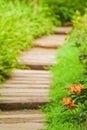 A tranquil botanical garden with orange Rhododendron flowers in summertime Royalty Free Stock Photo