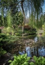 Tranquil Buchart Reflection Pond Garden