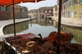 Tranquil canal in Comacchio