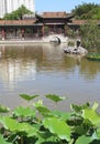 Tranquil Chinese garden with lotus plants on lake