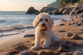 Tranquil coastal scene with adorable fluffy dog puppy relaxing on sandy shore amidst sea waves Royalty Free Stock Photo