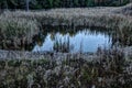 Tranquil Country Pond With Grass Reflection Royalty Free Stock Photo