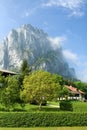 Tranquil countryside at the foot of foggy mountain