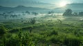 Tranquil countryside morning farmer, cows, misty ambiance in high res narrative imagery Royalty Free Stock Photo