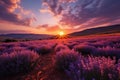 Tranquil countryside sunset in lavender field, soft purple and golden sky, impressionist art style