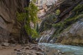 dramatic and tranquil landscape image taken in the Narrows on Zion national park. Its the Virgin River r in the park. Royalty Free Stock Photo