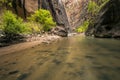 dramatic and tranquil landscape image taken in the Narrows on Zion national park. Its the Virgin River r in the park. Royalty Free Stock Photo