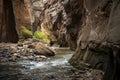 dramatic and tranquil landscape image taken in the Narrows on Zion national park. Its the Virgin River r in the park. Royalty Free Stock Photo