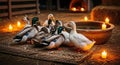Tranquil duck gathering near a water bath illuminated by candlelight in rustic setting Royalty Free Stock Photo