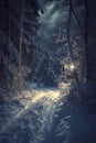 tranquil yet eerie winter night in a forest, where moonlight and artificial lights cast intricate shadows on the snow-covered path