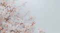 Tranquil and elegant spring abstract minimalistic white background design concept