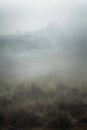 fantasy medieval landscape. Foggy fantasy terrain. Royalty Free Stock Photo