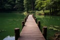 Tranquil escape Bridge, lake, and forest at Pang Oung, Thailand