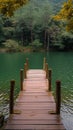 Tranquil escape Bridge, lake, and forest at Pang Oung, Thailand