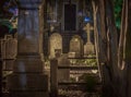 Tranquil evening scene featuring two bare trees in a cemetery Royalty Free Stock Photo