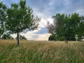 Tranquil evening view in jogging track in Zurich Glattbrugg Opfikon. Royalty Free Stock Photo